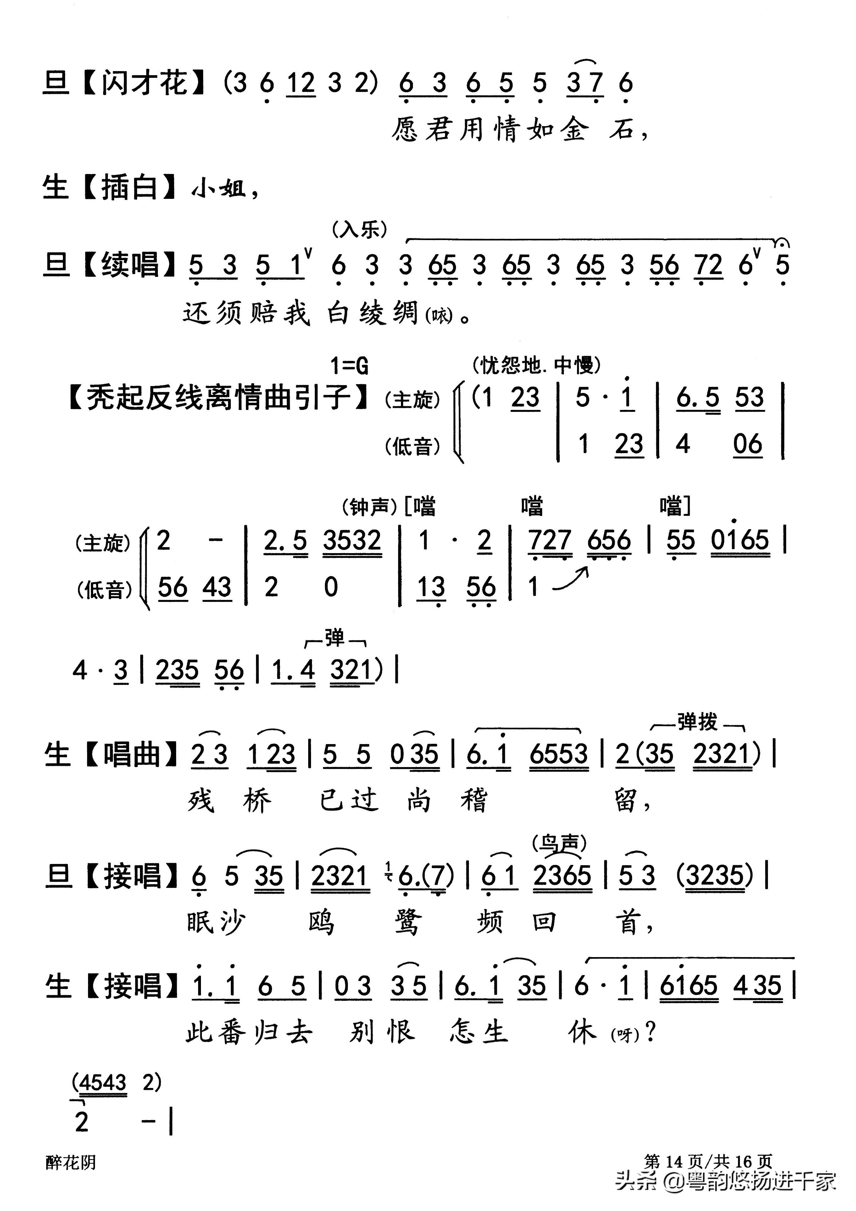 今日若醉，韵动人生旋律