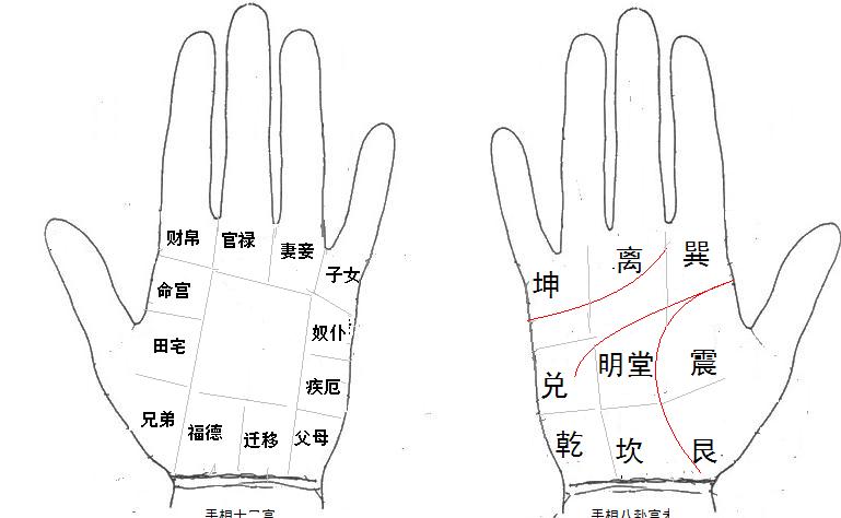 手相查询系统，免费下载、深度解析与应用探讨