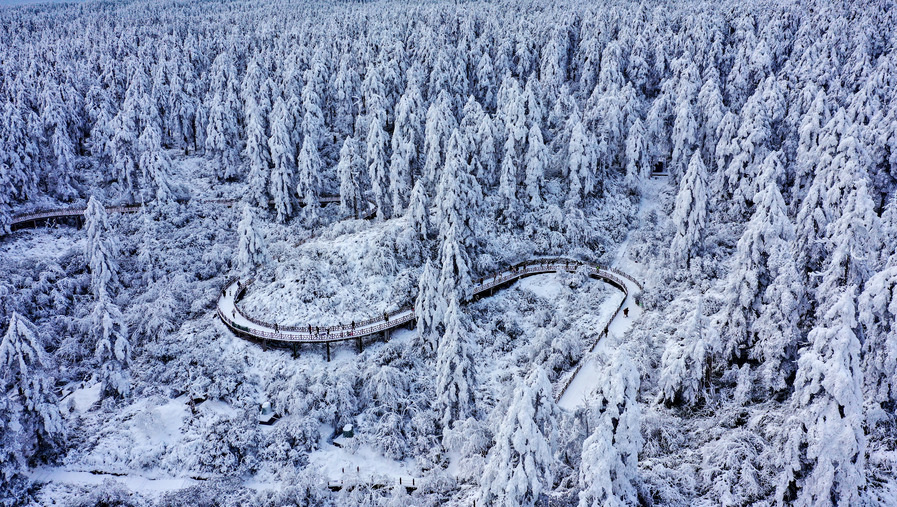 南方大规模降雪下的深思，迎接纯白的洗礼